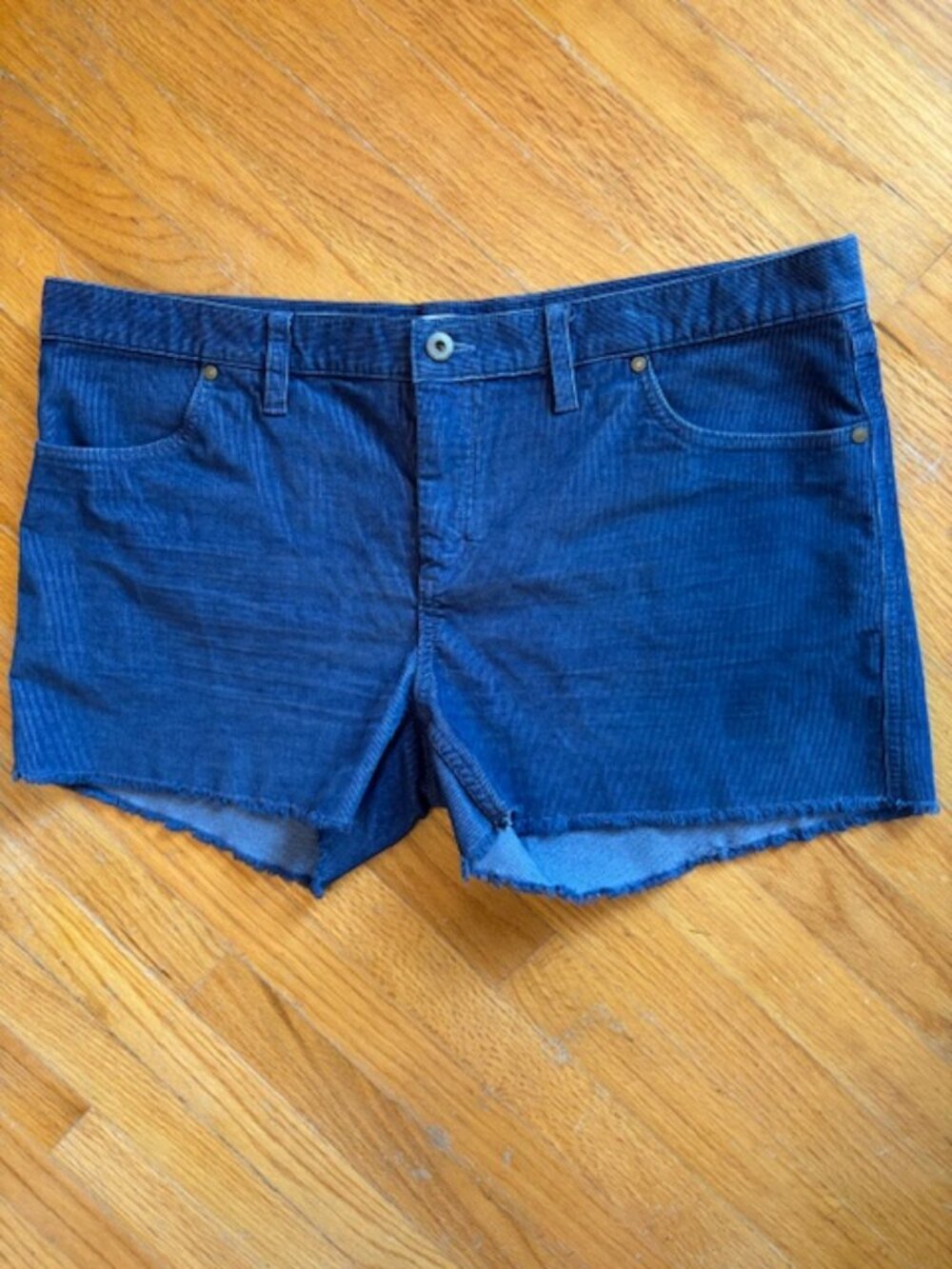 Carve Designs Oahu Corduroy Raw Hem Shorts in Blue Women's Size 14
